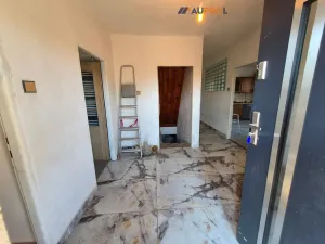 Prodej rodinného domu, Mladý Smolivec - Dožice, 290 m2
