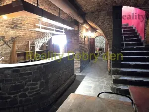 Pronájem restaurace, Opava, Dolní náměstí, 99 m2