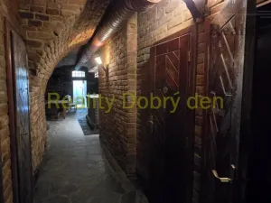 Pronájem restaurace, Opava, Dolní náměstí, 99 m2