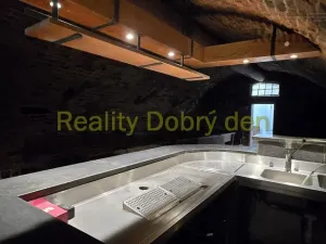 Pronájem restaurace, Opava, Dolní náměstí, 99 m2