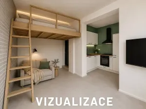 Prodej ubytování, Brno, Cejl, 60 m2