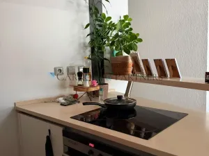 Pronájem bytu 2+kk, Ostrava - Moravská Ostrava, Partyzánské náměstí, 69 m2
