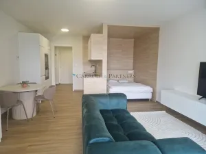 Pronájem bytu 1+kk, Ostrava - Slezská Ostrava, U Hájenky, 40 m2