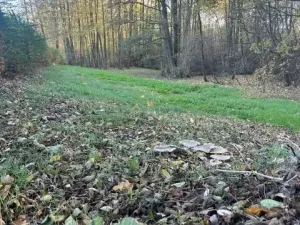 Prodej pozemku pro bydlení, Běhařov, 1746 m2