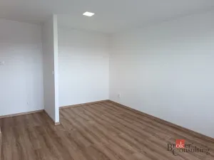 Pronájem bytu 1+1, Opava - Předměstí, Mařádkova, 25 m2