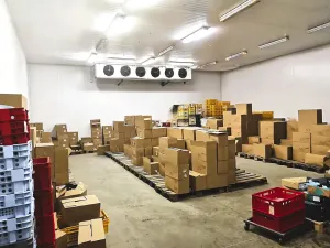 Prodej výrobních prostor, Rozsíčka, 1700 m2