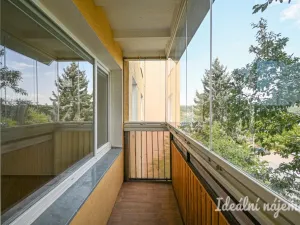 Pronájem bytu 3+1, Brno, Bednaříkova, 73 m2