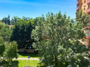 Pronájem atypického bytu, Lipník nad Bečvou, Osecká, 120 m2
