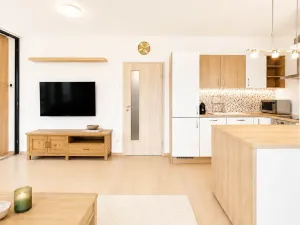 Prodej bytu 3+kk, Praha - Žižkov, Olšanská, 111 m2