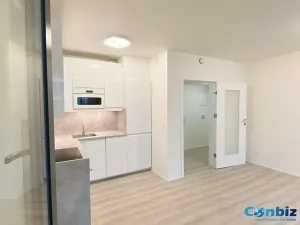 Pronájem bytu 2+kk, Praha - Smíchov, Holečkova, 47 m2