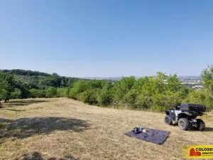 Prodej pozemku, Židlochovice, 4149 m2
