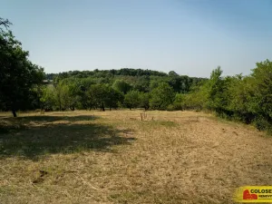 Prodej pozemku, Židlochovice, 4149 m2