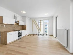 Pronájem bytu 1+kk, Dobřany, Denksteinova, 35 m2