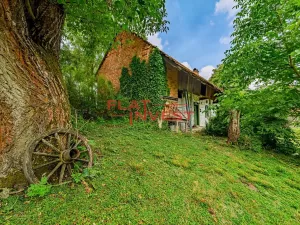 Prodej chalupy, Údrnice, 80 m2