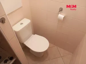 Pronájem bytu 1+kk, Strakonice - Strakonice II, Dukelská, 19 m2