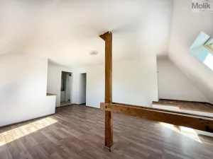 Pronájem bytu 4+1, Osek, Obránců míru, 159 m2