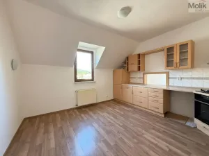 Pronájem bytu 4+1, Osek, Obránců míru, 159 m2