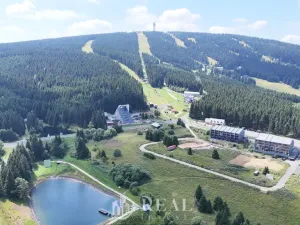 Prodej pozemku pro bydlení, Loučná pod Klínovcem - Háj, 700 m2