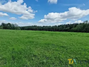 Prodej pozemku pro bydlení, Raškovice, 1440 m2