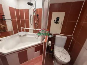 Prodej bytu 3+1, Litvínov - Hamr, Přátelství, 69 m2