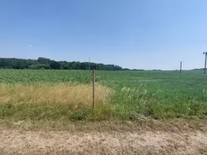 Prodej pozemku pro bydlení, Pavlov, 32279 m2