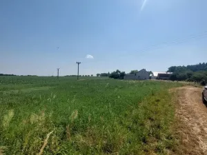 Prodej pozemku pro bydlení, Pavlov, 2051 m2