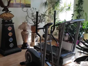 Pronájem bytu 4+kk, Cheb, Evropská, 106 m2