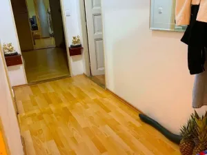 Pronájem bytu 4+kk, Cheb, Evropská, 106 m2