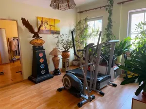 Pronájem bytu 4+kk, Cheb, Evropská, 106 m2