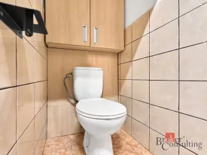 Prodej bytu 2+1, Chodov, Revoluční, 55 m2