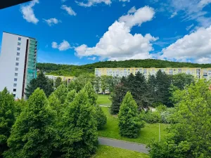 Pronájem bytu 3+1, Ústí nad Labem, Pincova, 83 m2