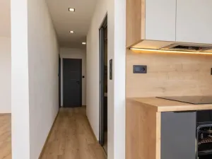 Prodej bytu 2+1, Plzeň - Doudlevce, 58 m2