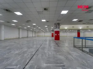 Pronájem obchodního prostoru, Plzeň - Východní Předměstí, Americká, 1603 m2