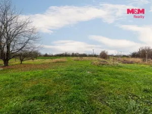 Prodej rodinného domu, Uherský Ostroh - Kvačice, Zemědělská, 270 m2