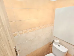 Pronájem bytu 2+1, Velké Opatovice, Nová, 59 m2