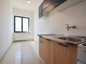 Pronájem bytu 1+1, Ústí nad Labem - Krásné Březno, Drážďanská, 42 m2