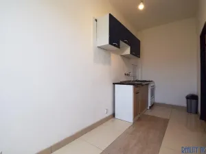 Pronájem bytu 1+1, Ústí nad Labem - Krásné Březno, Drážďanská, 42 m2