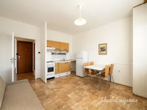 Pronájem bytu 2+kk, Praha - Michle, U Botiče, 42 m2