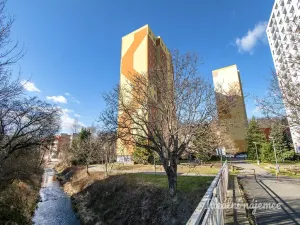 Pronájem bytu 2+kk, Praha - Michle, U Botiče, 42 m2