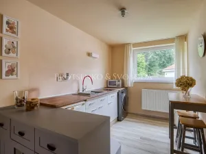 Prodej vícegeneračního domu, Pavlov, 354 m2