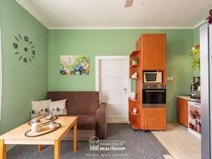 Prodej bytu 1+1, Olomouc, 17. listopadu, 48 m2