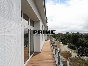 Pronájem bytu 6+kk a větší, Praha - Vinohrady, Chopinova, 204 m2