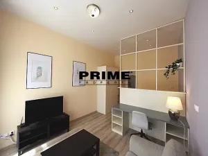 Pronájem bytu 1+1, Praha - Vinohrady, Máchova, 40 m2