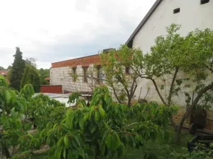 Dražba bytu 4+kk, Chotíkov, 544 m2