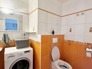 Prodej bytu 1+kk, České Budějovice - České Budějovice 2, Spojovací, 35 m2