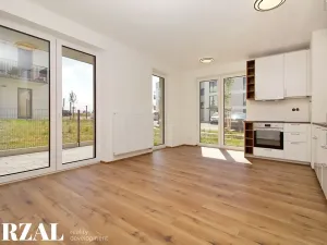Pronájem bytu 1+kk, Dobřany, Denksteinova, 38 m2