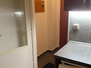 Pronájem bytu 1+kk, Praha - Vysočany, Freyova, 20 m2