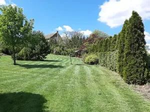 Prodej rodinného domu, Cvrčovice, Školní, 168 m2