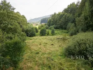 Prodej louky, Liberec - Liberec I-Staré Město, 6759 m2