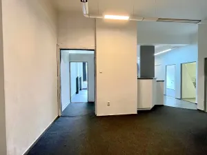 Pronájem bytu 4+kk, Brno, náměstí Svobody, 98 m2